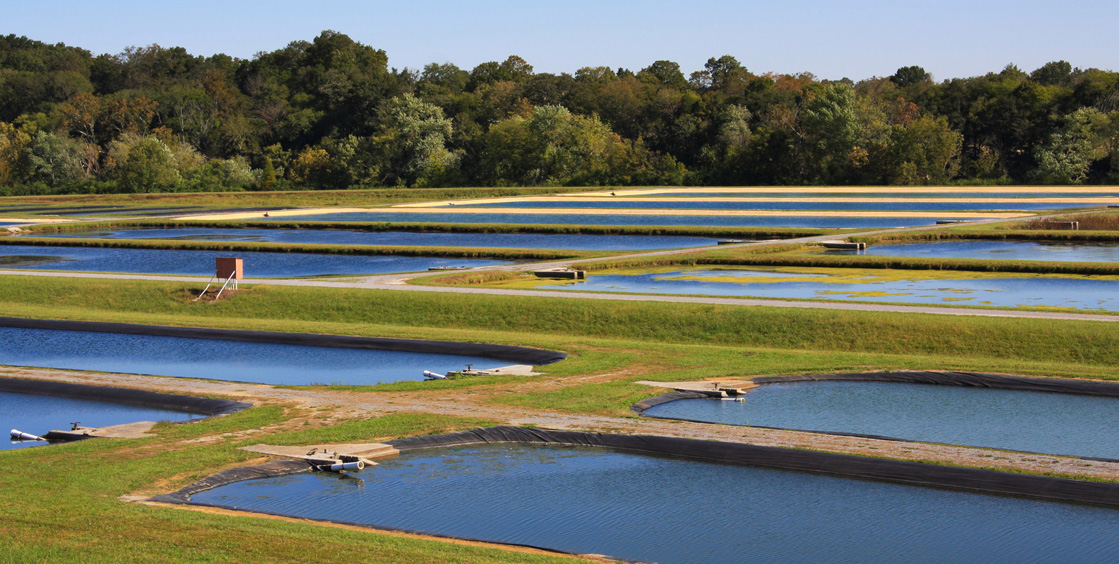 Bio-Systems Fish Farmers